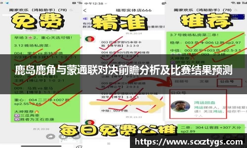 365WM完美体育官网