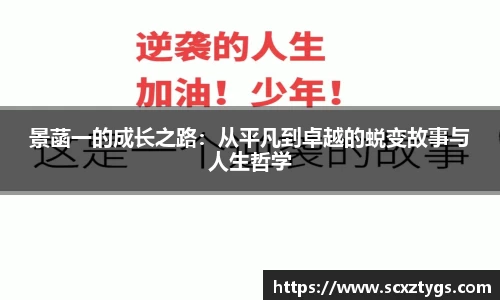 365WM完美体育官方app