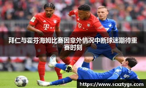 365WM完美体育官方网站