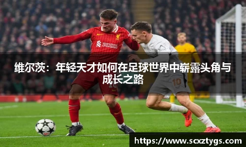 365WM完美体育官方网站