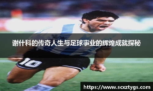 365WM完美体育官方app