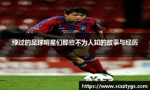 365WM完美体育官方网站