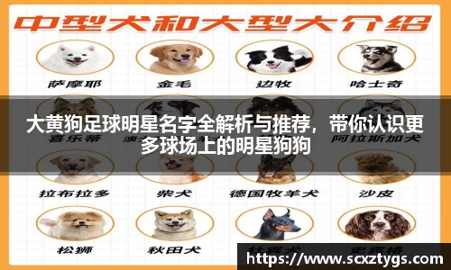 365WM完美体育官方app